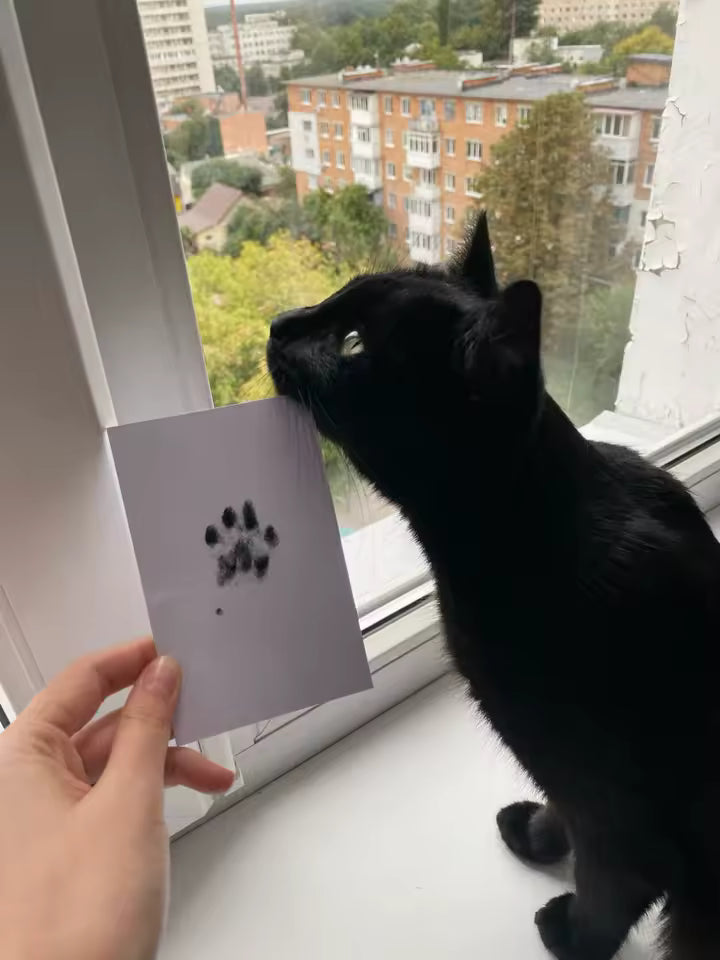 DeepSleepComfort™ Abdruck-Set