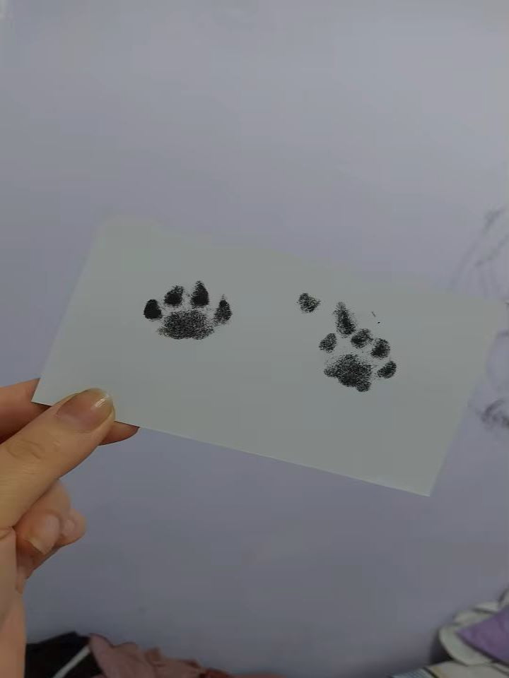 DeepSleepComfort™ Abdruck-Set